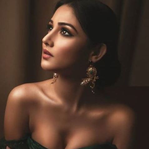 Donal Bisht